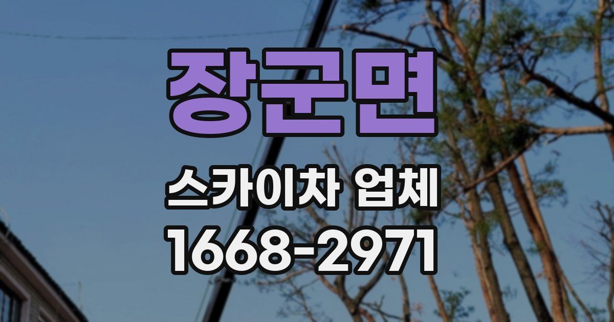 장군면 스카이차 업체