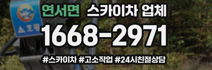 연서면 스카이차 업체