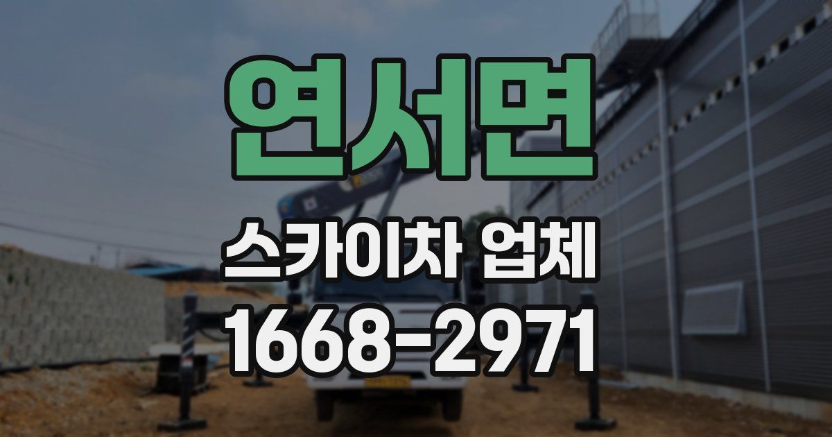 연서면 스카이차 업체