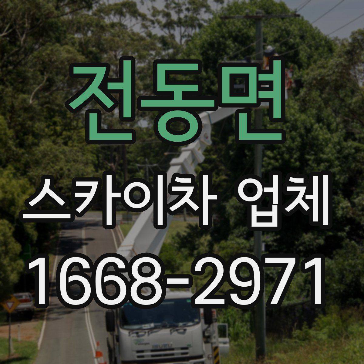 전동면 스카이차 업체