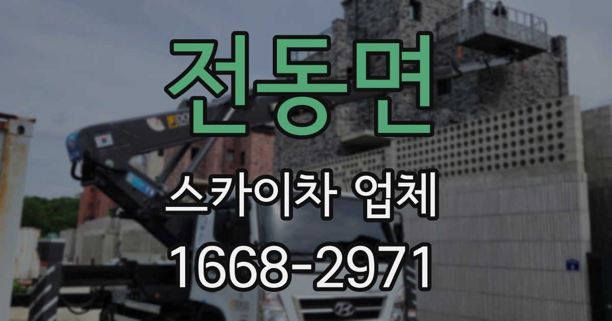 전동면 스카이차 업체