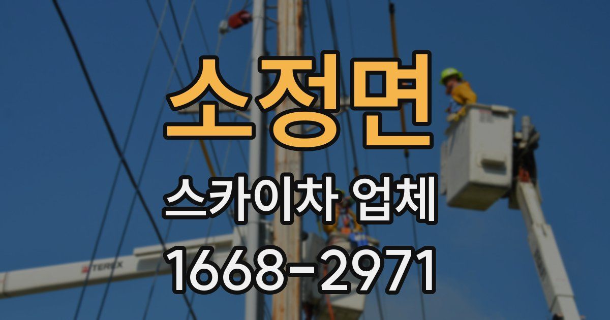 소정면 스카이차 업체
