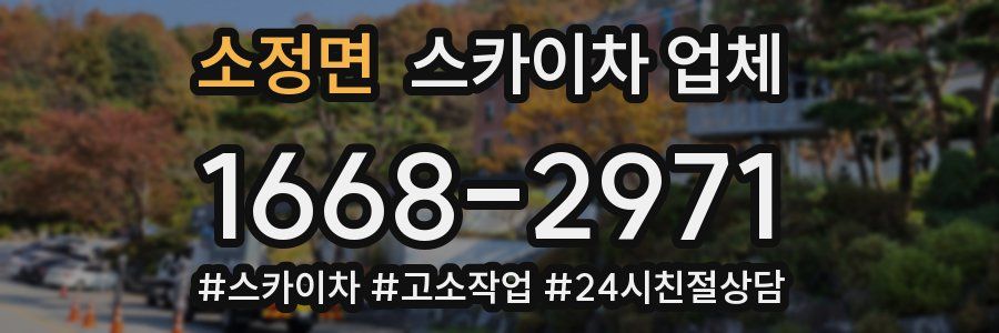 소정면 스카이차 업체