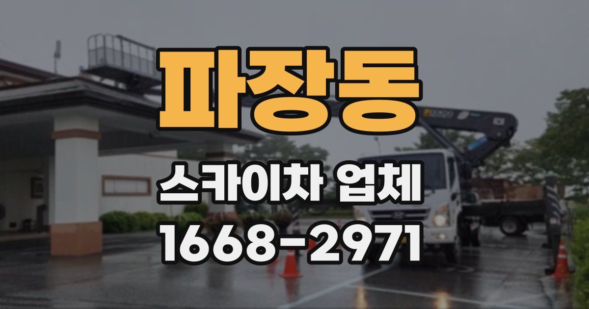 파장동 스카이차 업체