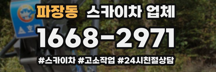 파장동 스카이차 업체