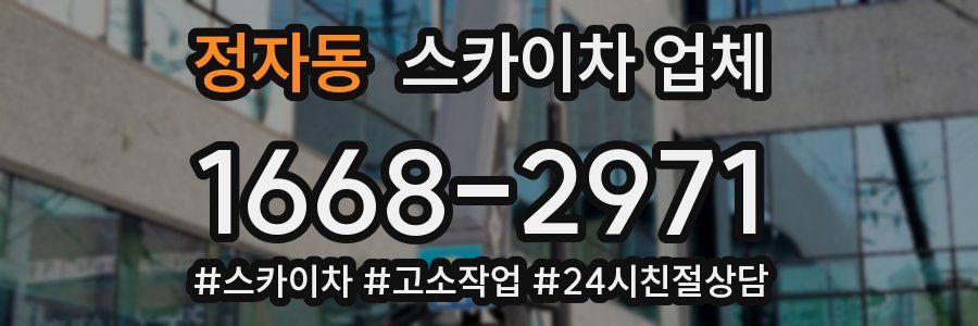 정자동 스카이차 업체