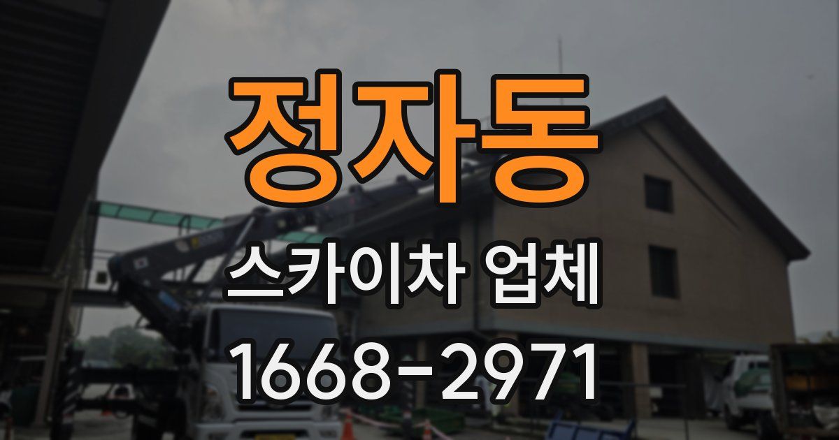 정자동 스카이차 업체