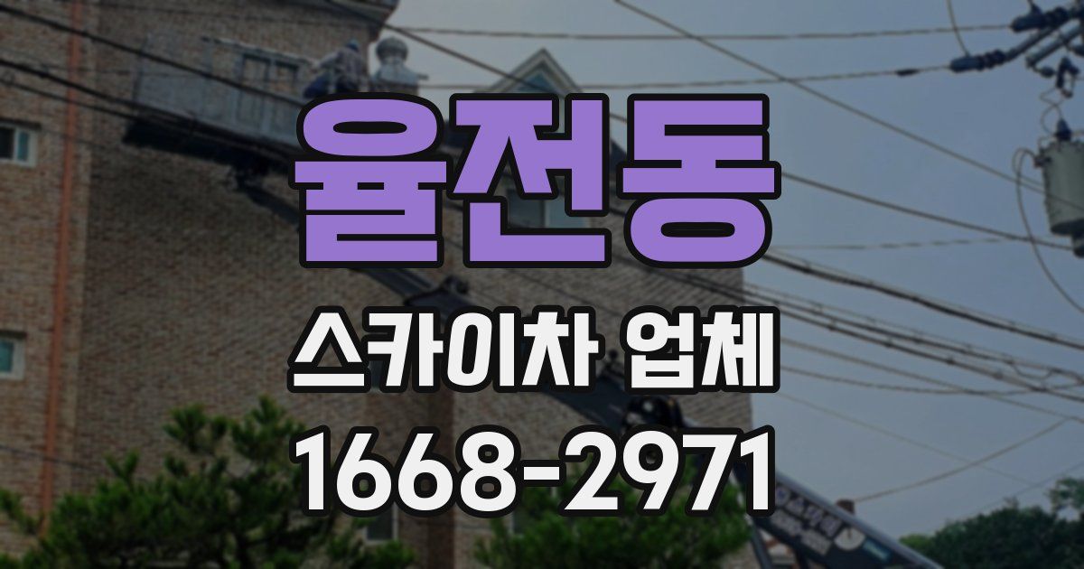 율전동 스카이차 업체