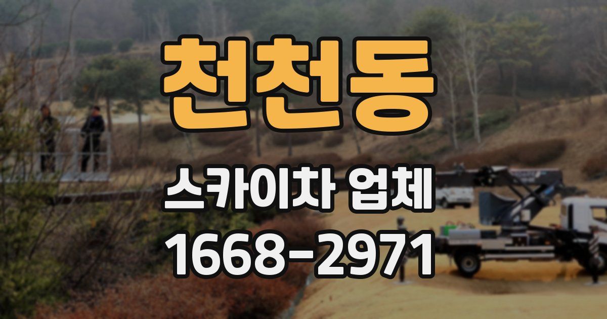 천천동 스카이차 업체