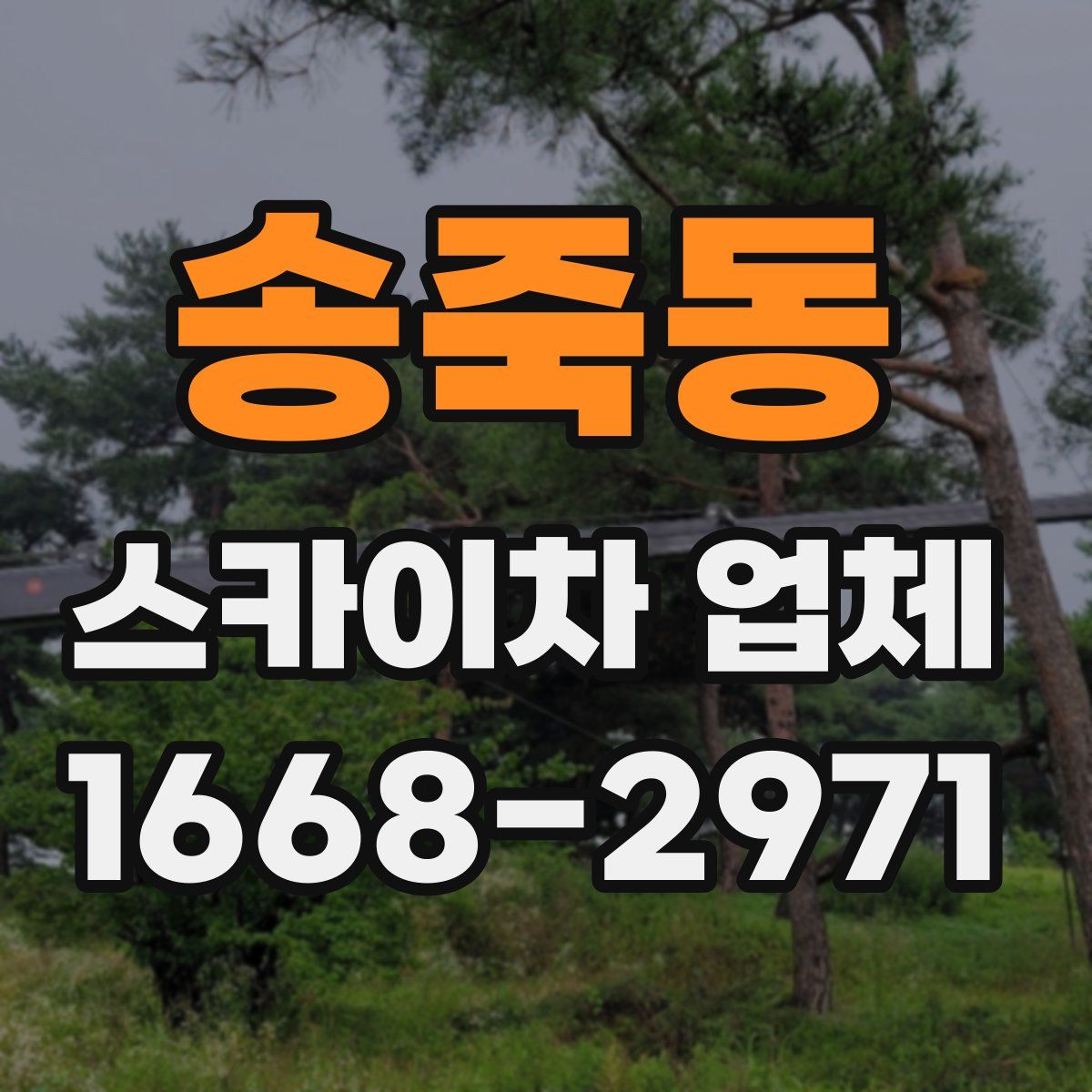 송죽동 스카이차 업체