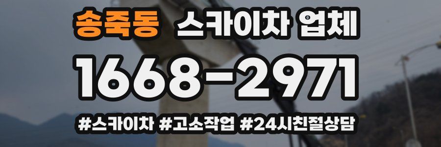 송죽동 스카이차 업체