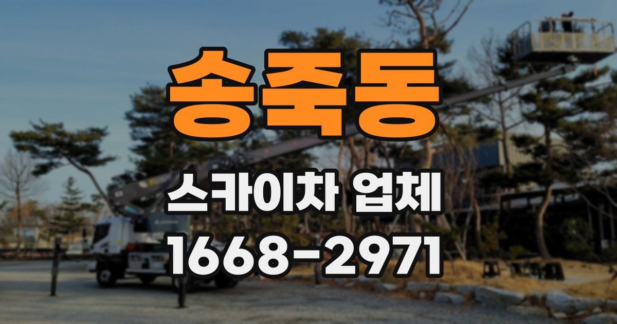 송죽동 스카이차 업체