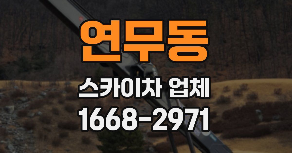 연무동 스카이차 업체