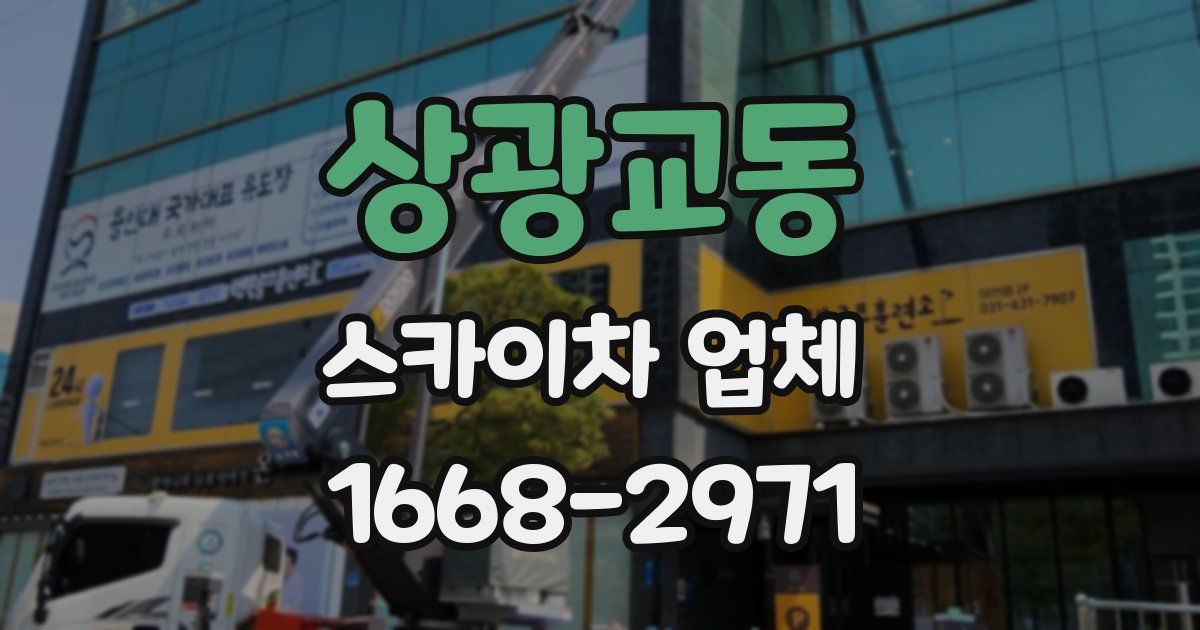 상광교동 스카이차 업체