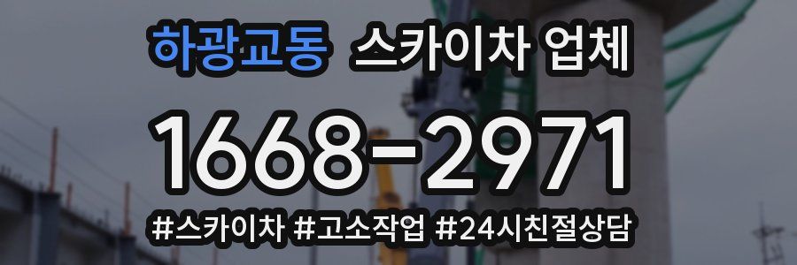 하광교동 스카이차 업체