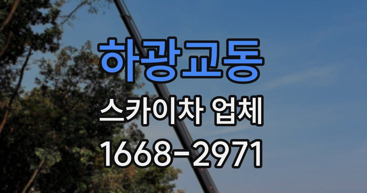 하광교동 스카이차 업체