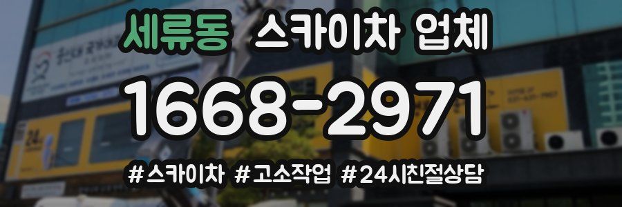 세류동 스카이차 업체