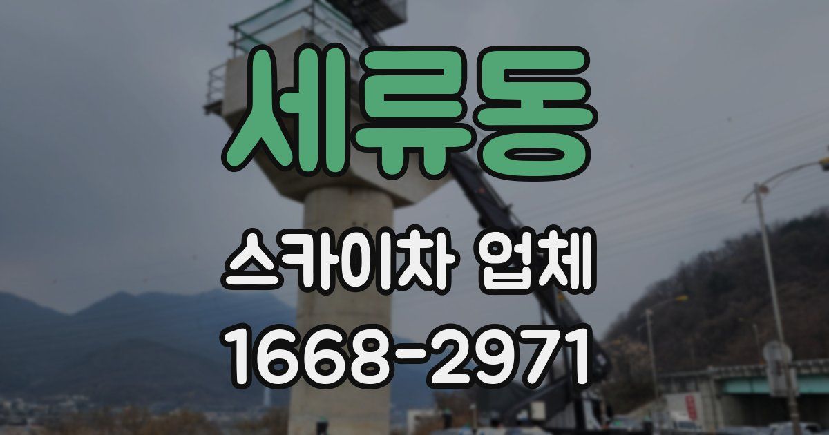 세류동 스카이차 업체