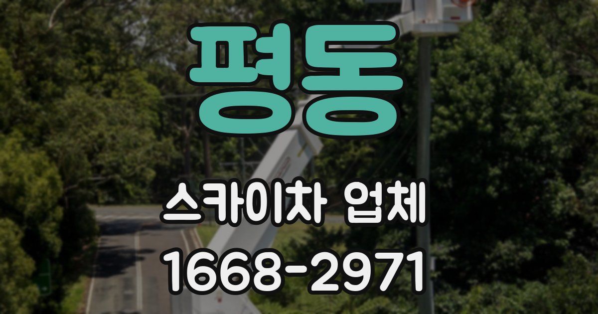 평동 스카이차 업체