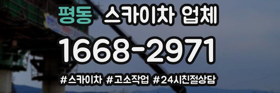 평동 스카이차 업체