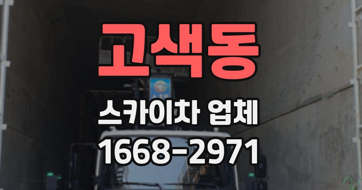 고색동 스카이차 업체