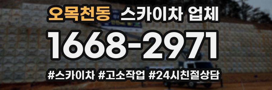 오목천동 스카이차 업체