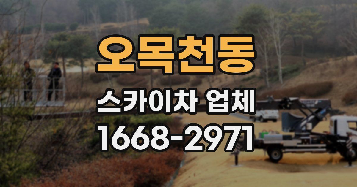 오목천동 스카이차 업체