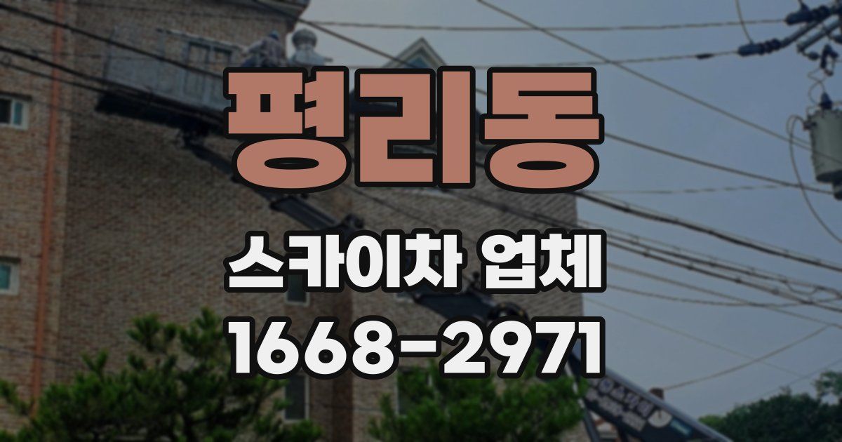 평리동 스카이차 업체