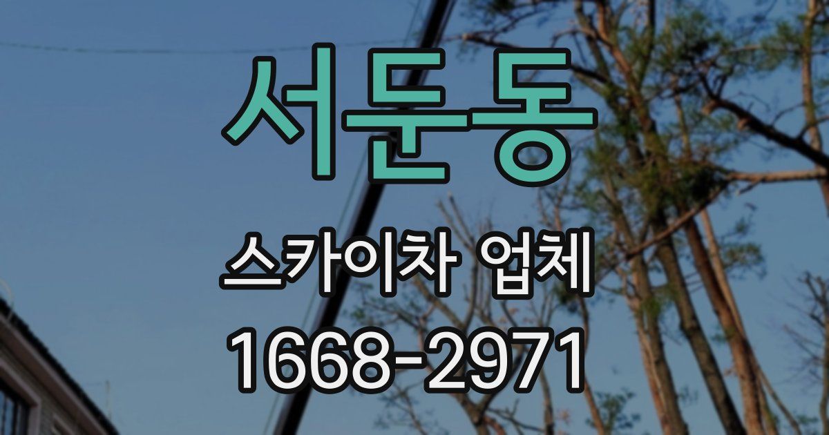 서둔동 스카이차 업체