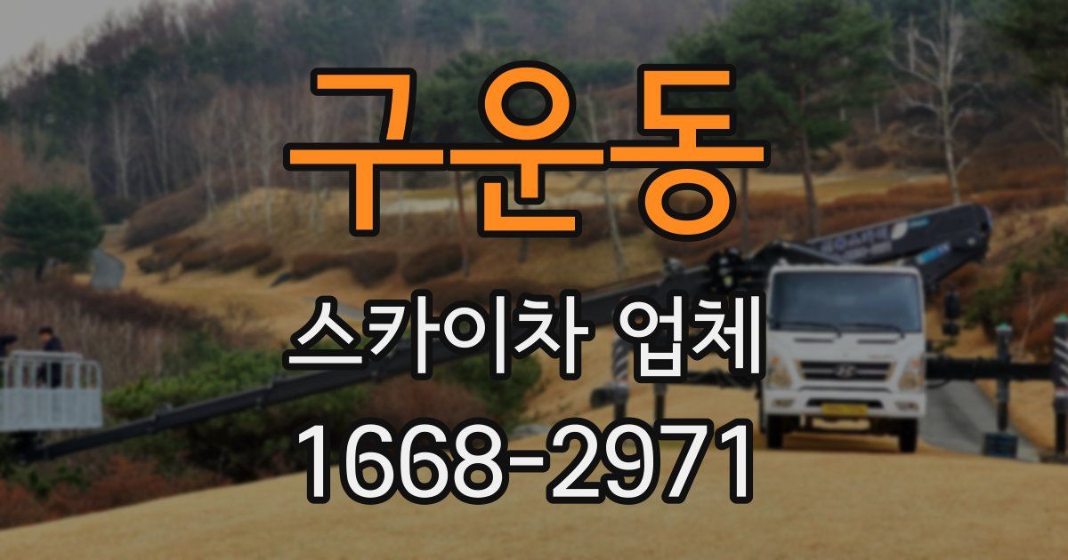 구운동 스카이차 업체