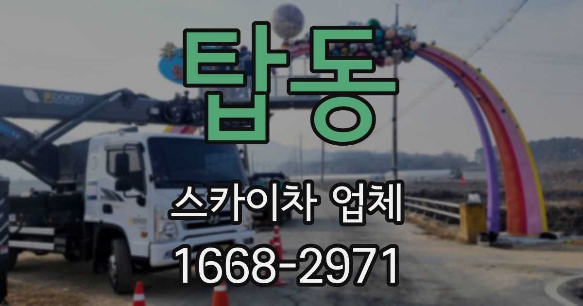 탑동 스카이차 업체