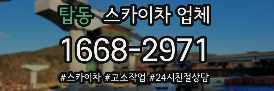 탑동 스카이차 업체