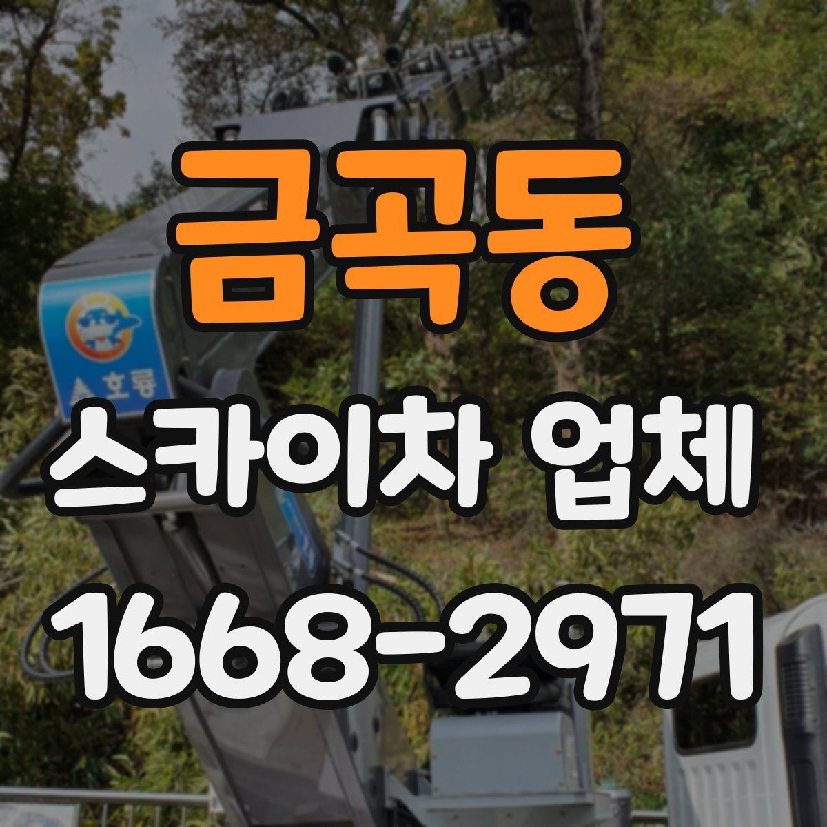 금곡동 스카이차 업체