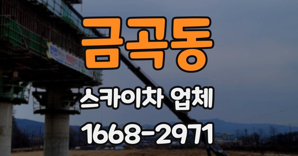 금곡동 스카이차 업체