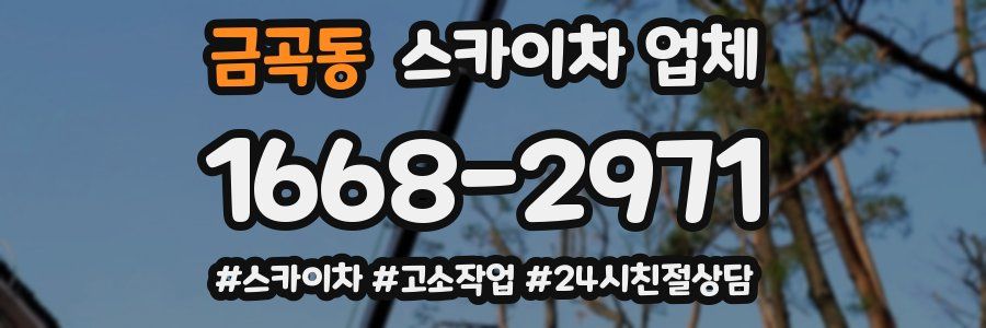 금곡동 스카이차 업체