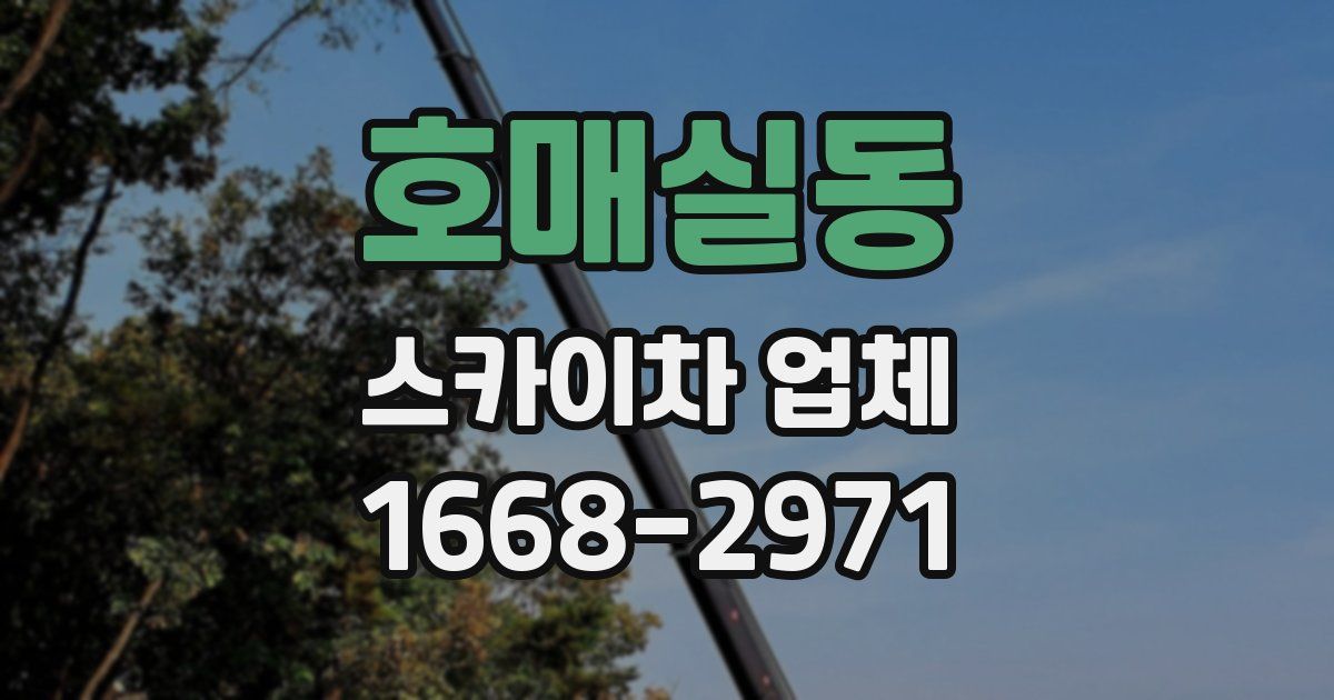 호매실동 스카이차 업체
