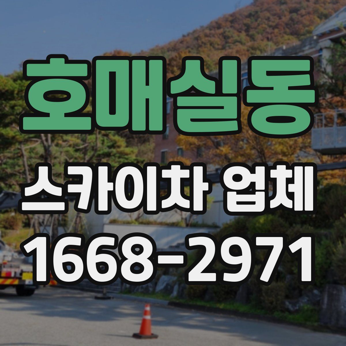 호매실동 스카이차 업체