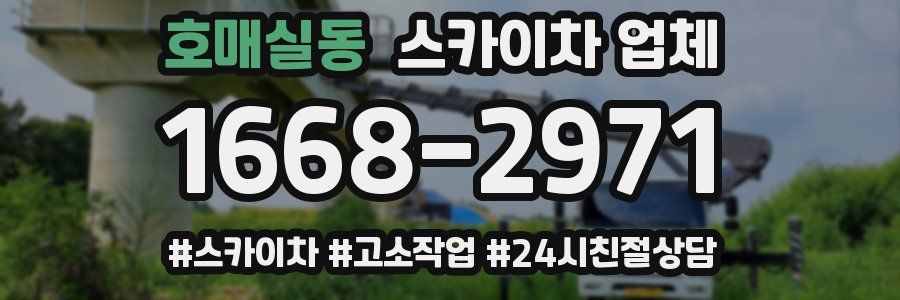 호매실동 스카이차 업체