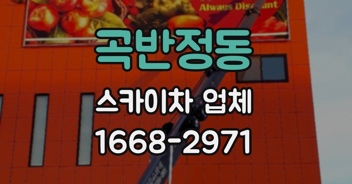 곡반정동 스카이차 업체