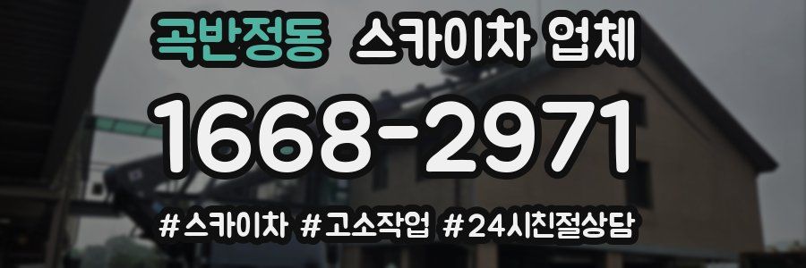 곡반정동 스카이차 업체