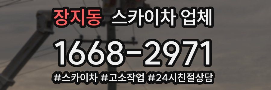 장지동 스카이차 업체
