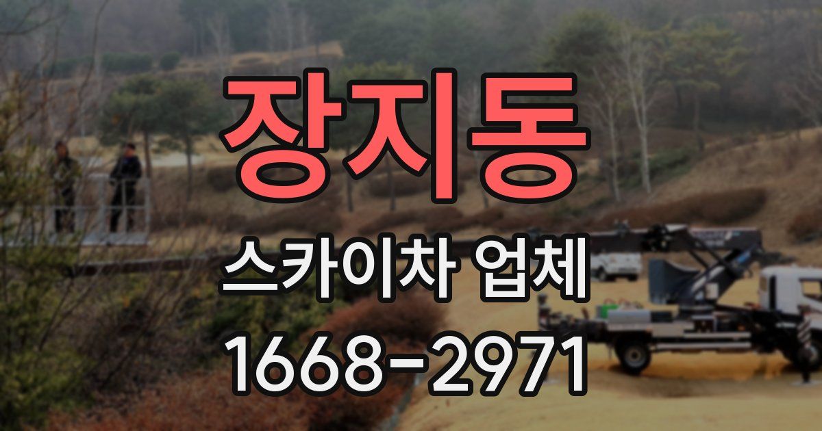 장지동 스카이차 업체