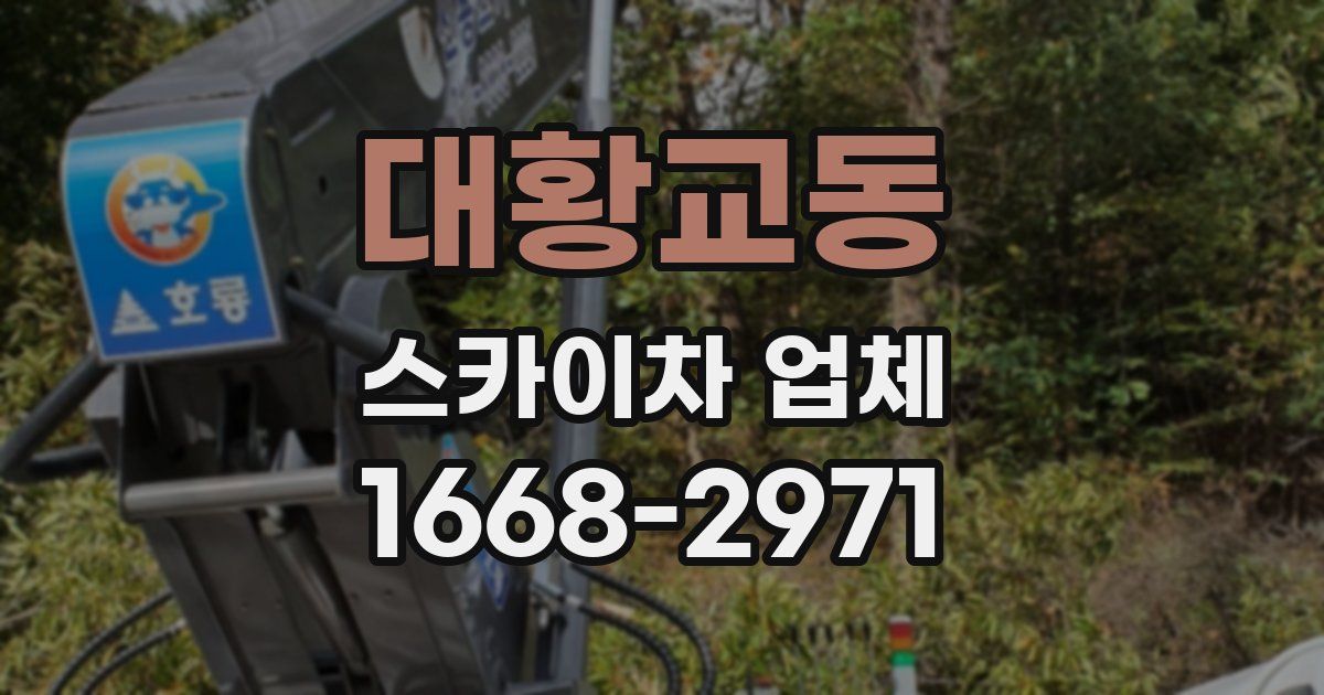 대황교동 스카이차 업체