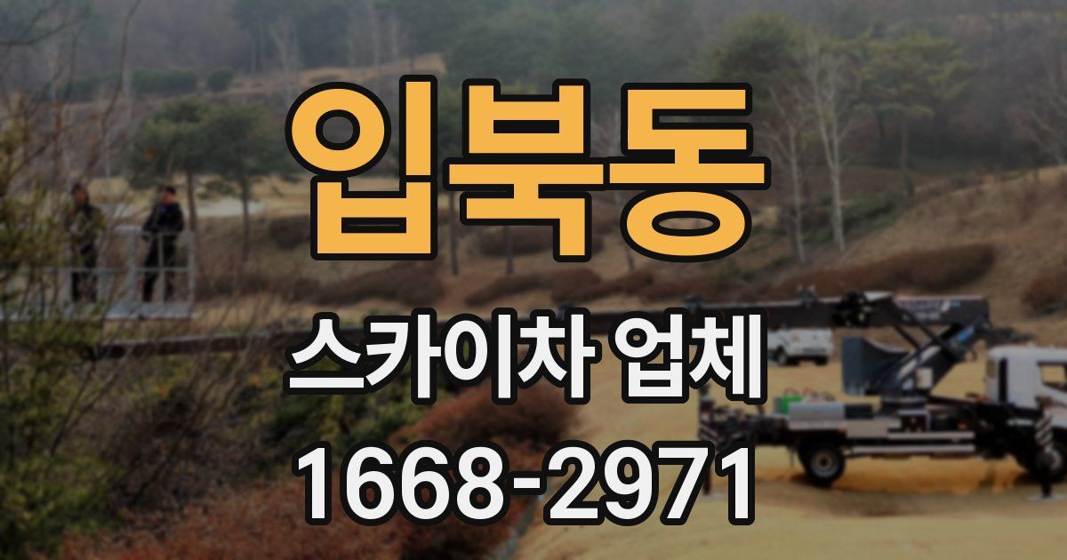 입북동 스카이차 업체