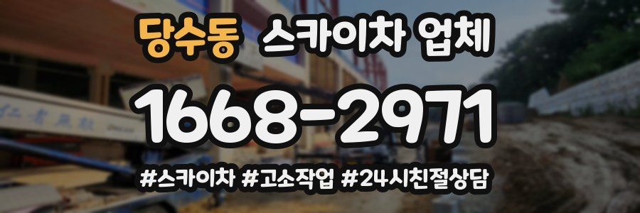 당수동 스카이차 업체