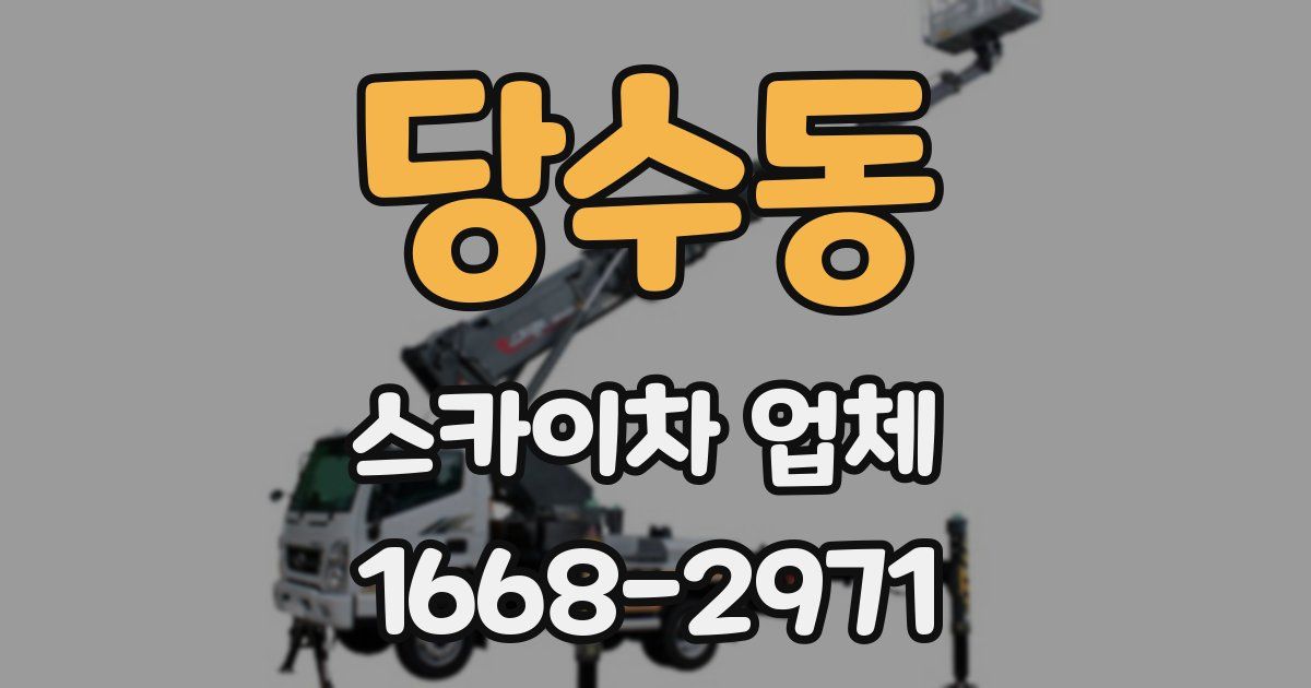 당수동 스카이차 업체
