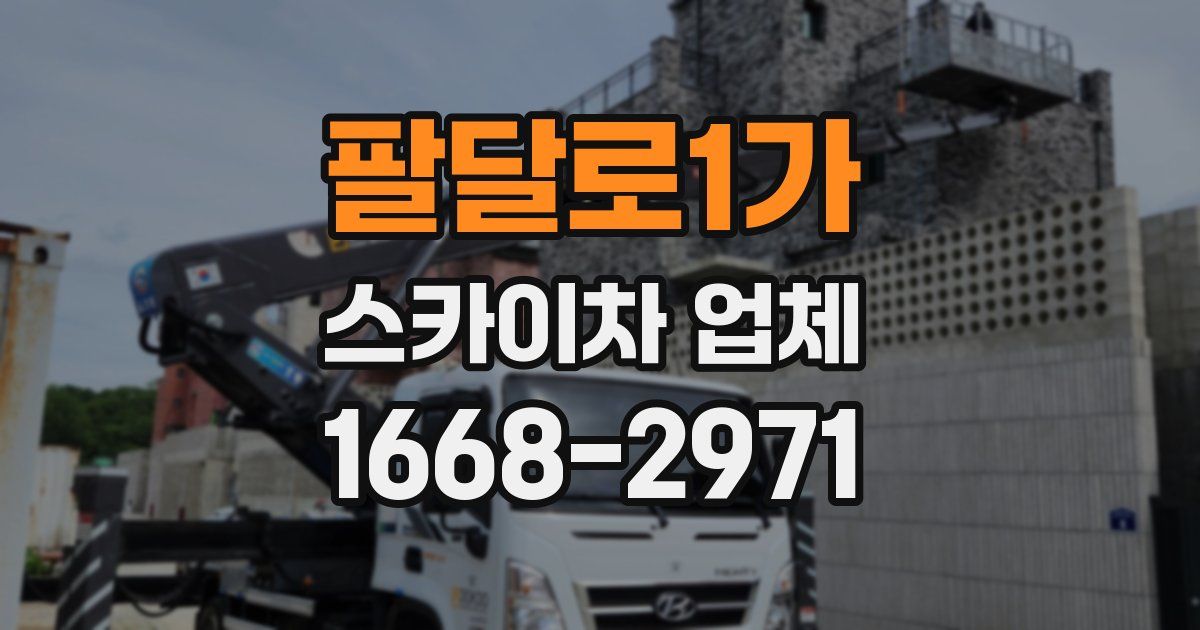 팔달로1가 스카이차 업체