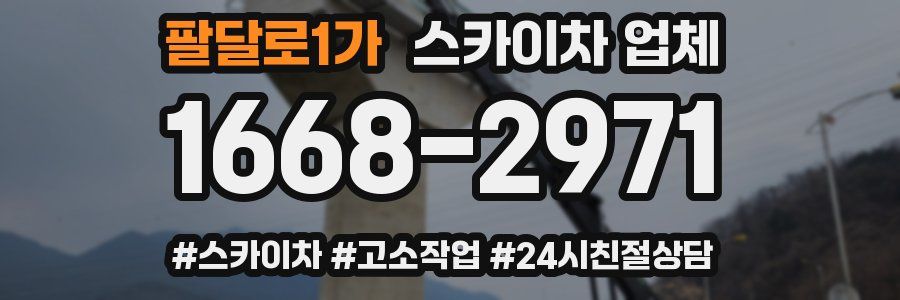 팔달로1가 스카이차 업체