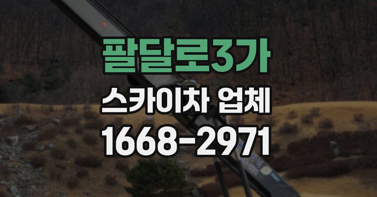 팔달로3가 스카이차 업체