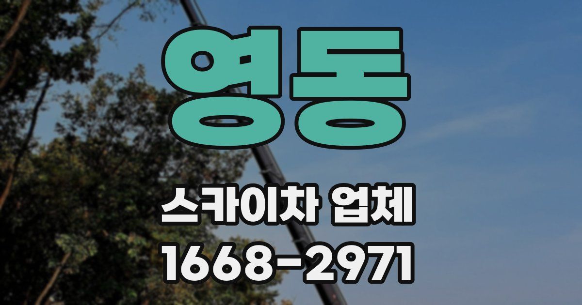 영동 스카이차 업체
